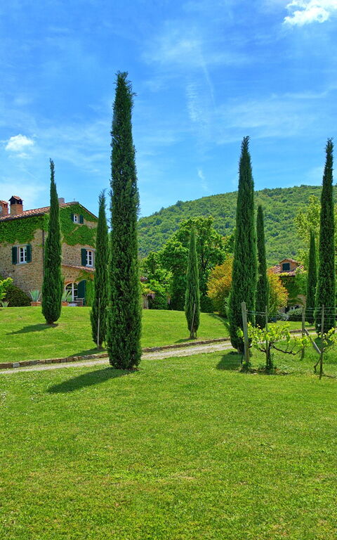 Villa Edo: Extérieur, Jardin