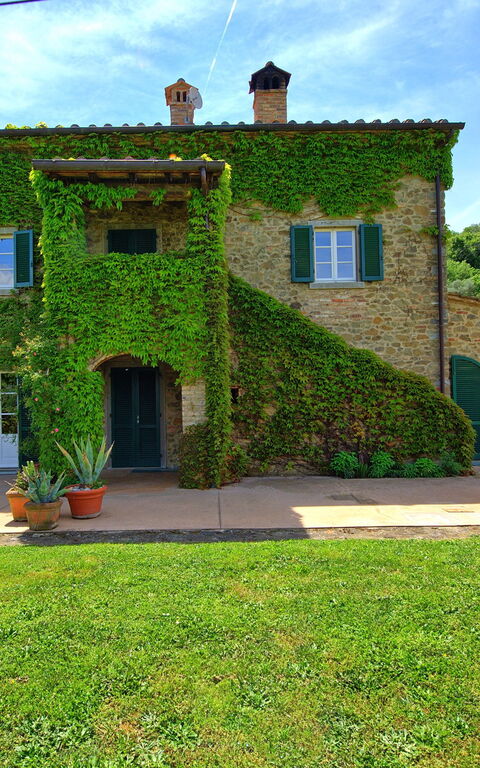 Villa Edo: Extérieur, Jardin