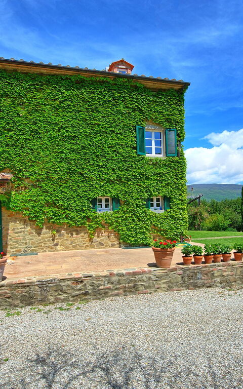 Villa Edo: Extérieur, Jardin