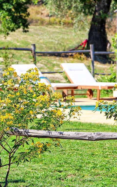 Villa Civita-Old: Jardin