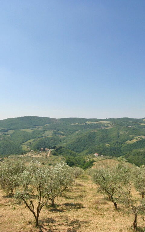 Casalta: Extérieur, Jardin