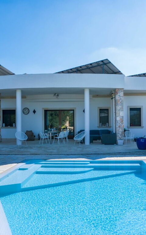 Villa Modigliani: bassin, Extérieur