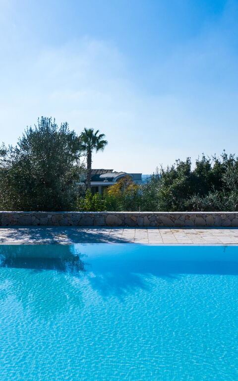 Villa Modigliani: bassin