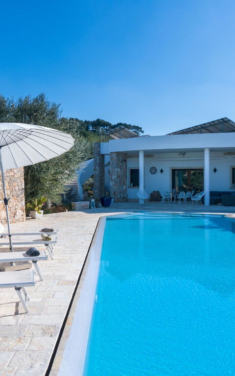 Villa Modigliani: bassin