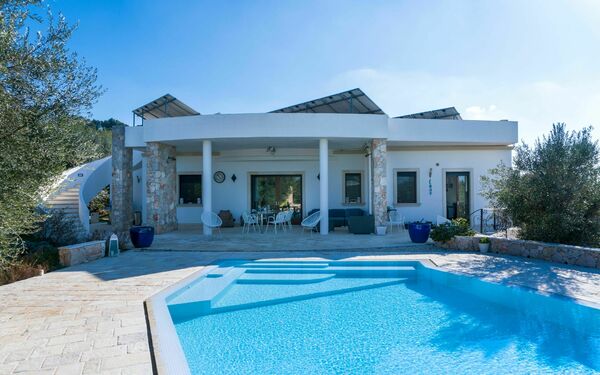 Villa Modigliani: bassin, Extérieur