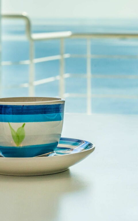 Villa Infinity: Salle à manger, Salon