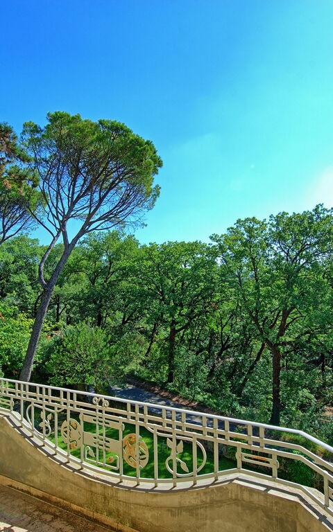 Villa Cuculo: Jardin