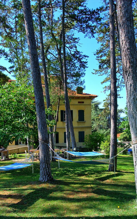 Villa Cuculo: Jardin