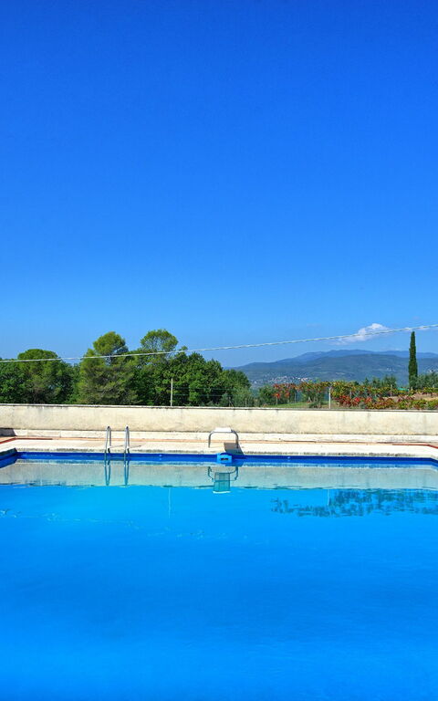 Villa Cuculo: bassin