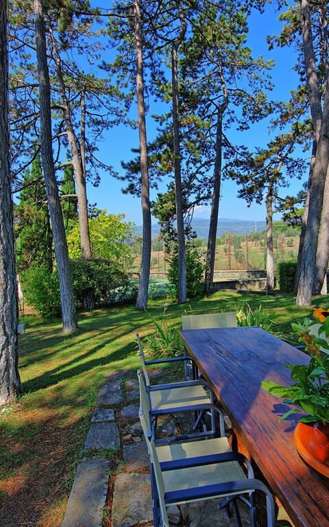 Villa Cuculo: Jardin