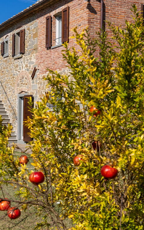 Villa Dei Vini: Extérieur, Extérieurs, Jardin