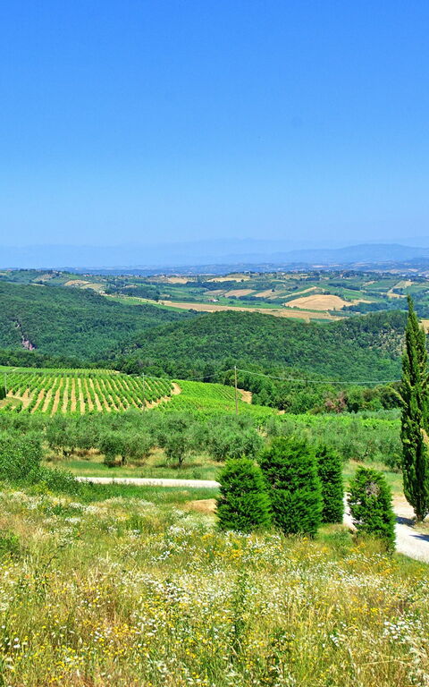 Villa Il Caggio: Été, Extérieur, Vues