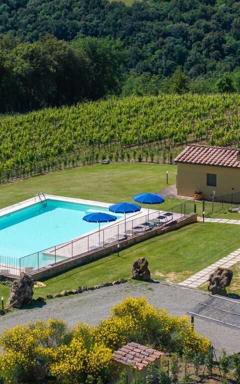 Villa Il Caggio: bassin, Extérieur, Extérieurs, Jardin, Vues