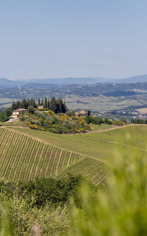 Villa Il Caggio: Vues