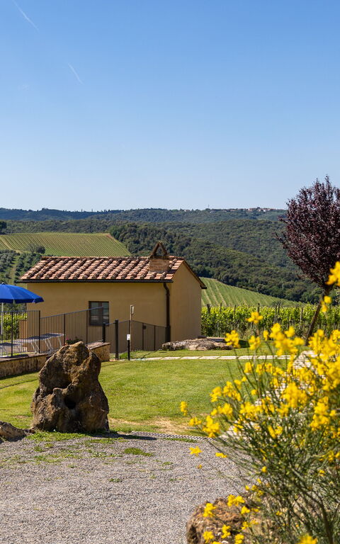 Villa Il Caggio: bassin, Extérieur, Extérieurs, Jardin