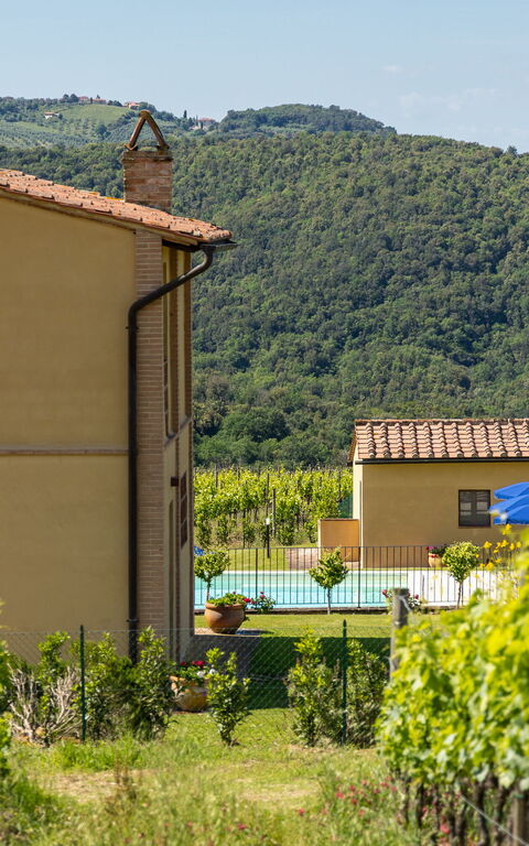 Villa Il Caggio: bassin, Extérieur, Extérieurs, Jardin