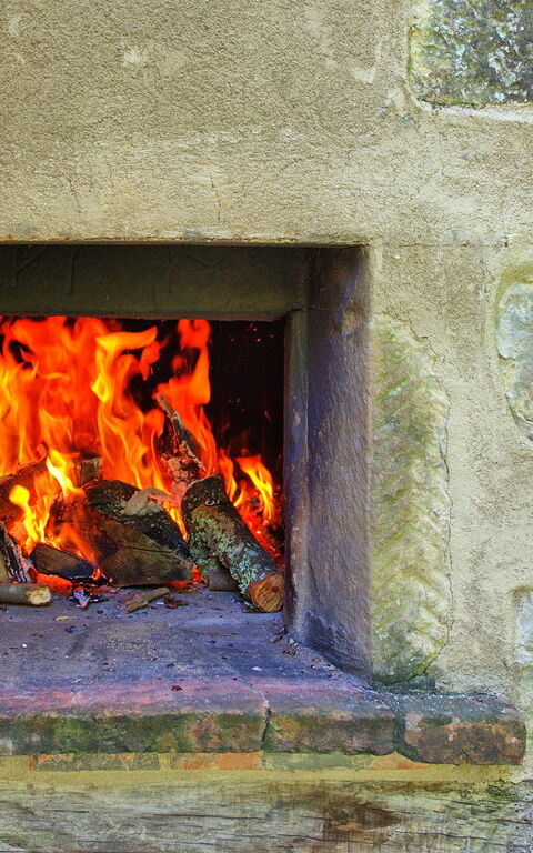 Casale Di Cozzile: Jardin