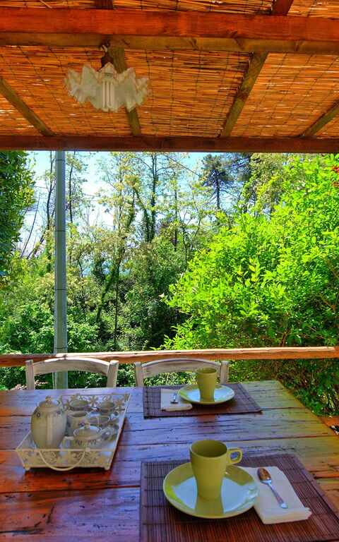 Casale Di Cozzile: Jardin