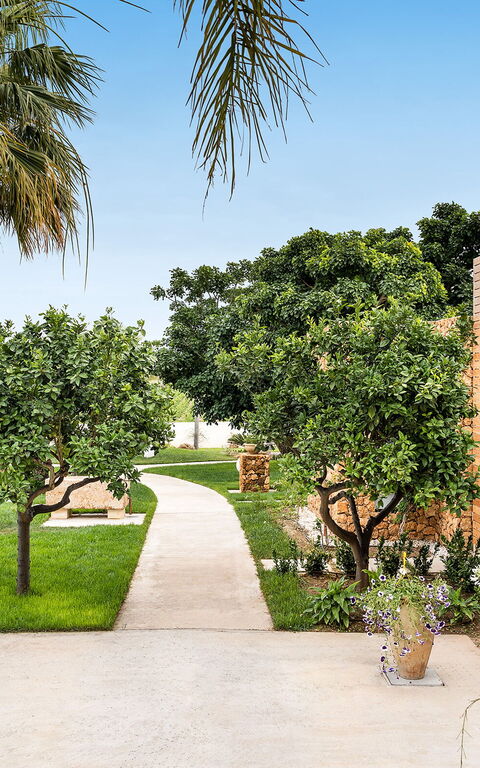 Villa Pietra Del Sole: Extérieur, Extérieurs, Jardin