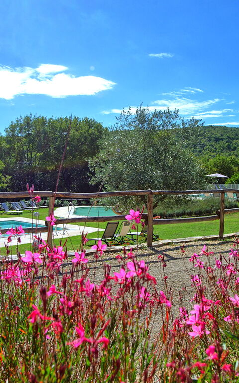 Borgo Mulignone: bassin, Jardin