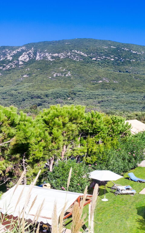 Beachfront Villa Rania: Vues