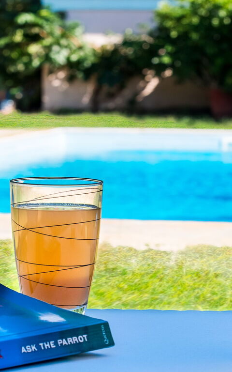 Beachfront Villa Rania: bassin, Jardin