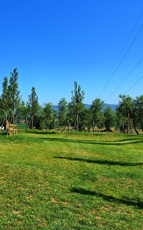 Il Sole Di Vino: Jardin, Vues