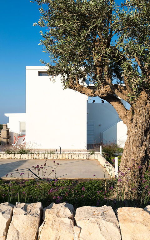 Villa San Lorenzo Palma: Extérieur, Jardin