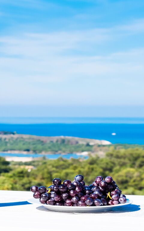 Villa Nafsika: Extérieur