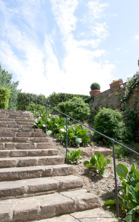 Santa Flora: Extérieur, Jardin