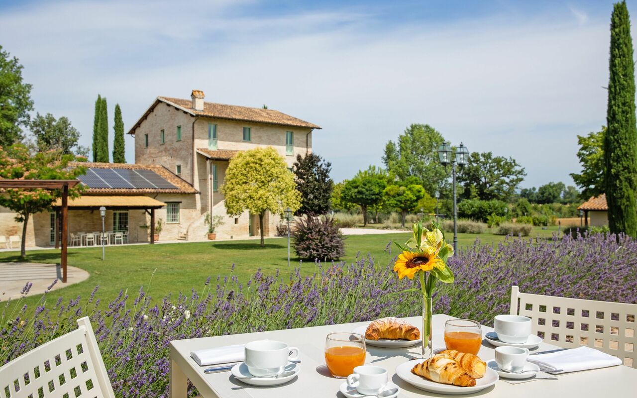 Villa Apollinare: Extérieur, Jardin