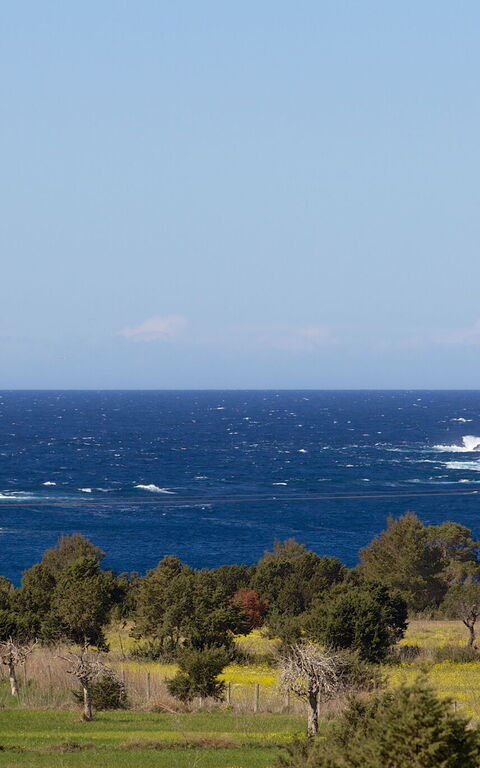 Cala Conta Dream: Extérieur, Jardin, Vues