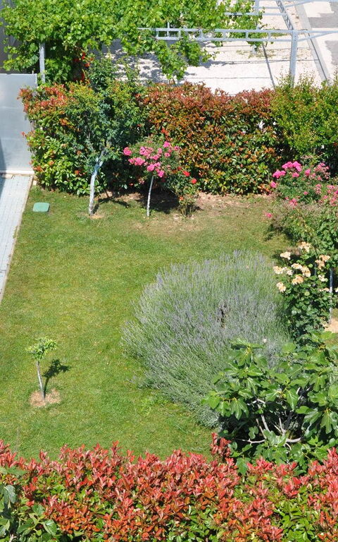 Villa Mermaid: Extérieur, Extérieurs, Jardin