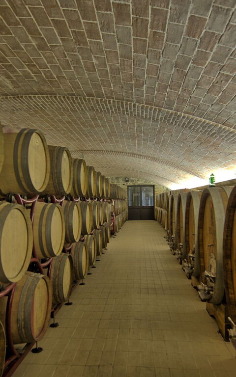 Villa Le Buche: Activités, Agréments