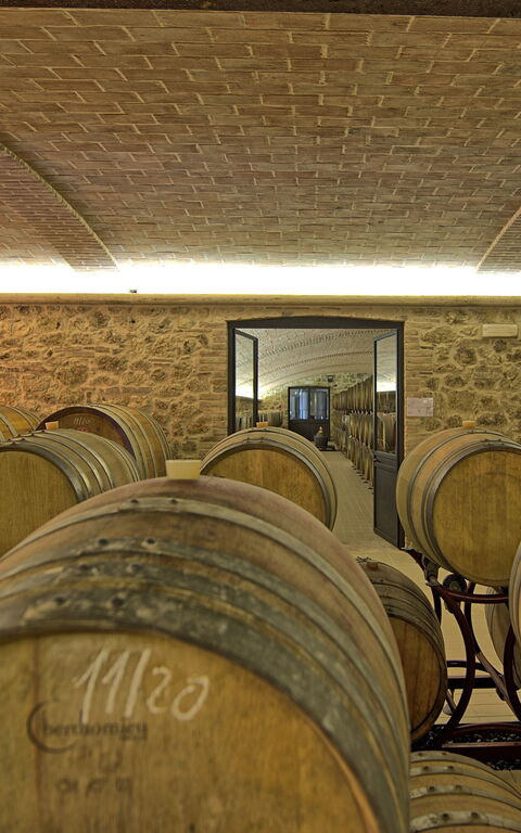 Villa Le Buche: Activités, Agréments