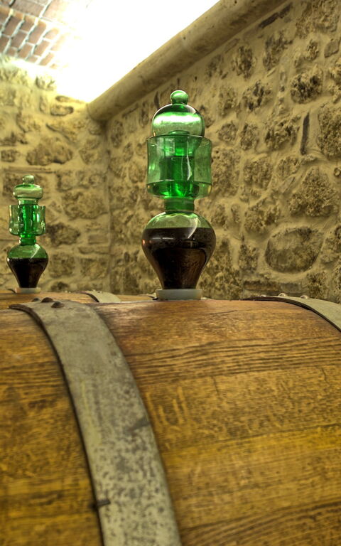 Villa Le Buche: Activités, Agréments