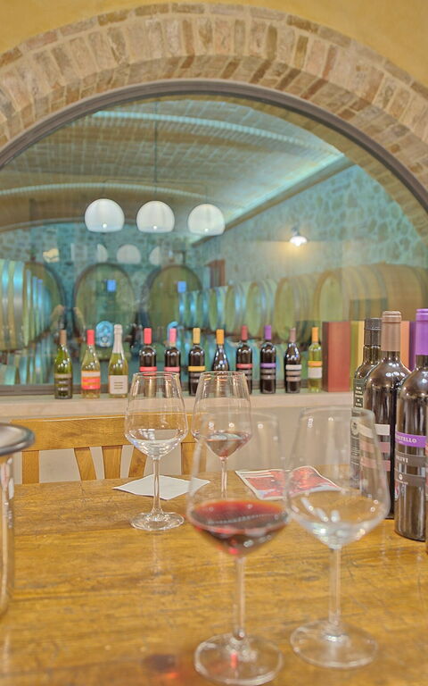 Villa Le Buche: Activités