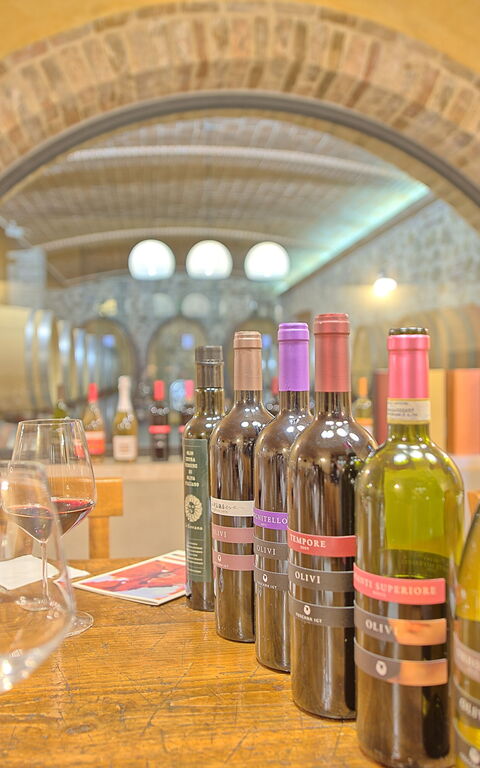 Villa Le Buche: Activités, Agréments