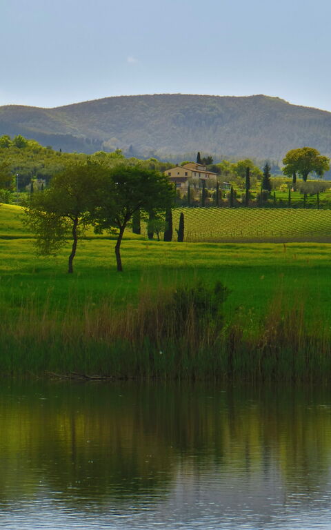 Villa Le Buche: Vues