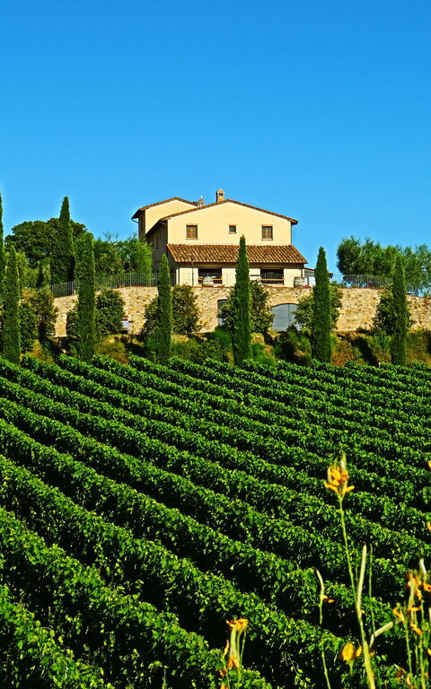 Villa Le Buche: Été, Extérieur, Vues