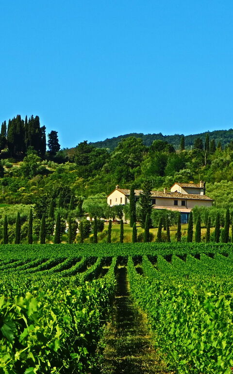 Villa Le Buche: Vues