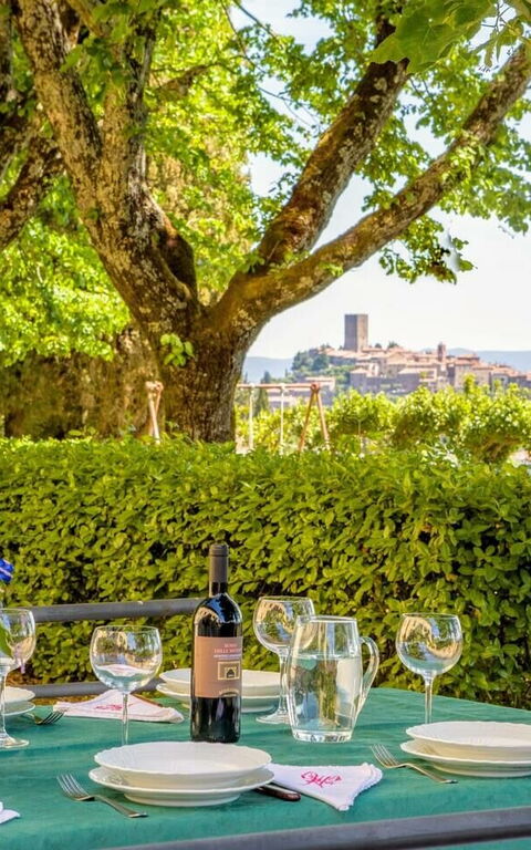 Villa Sorbaiano: Jardin