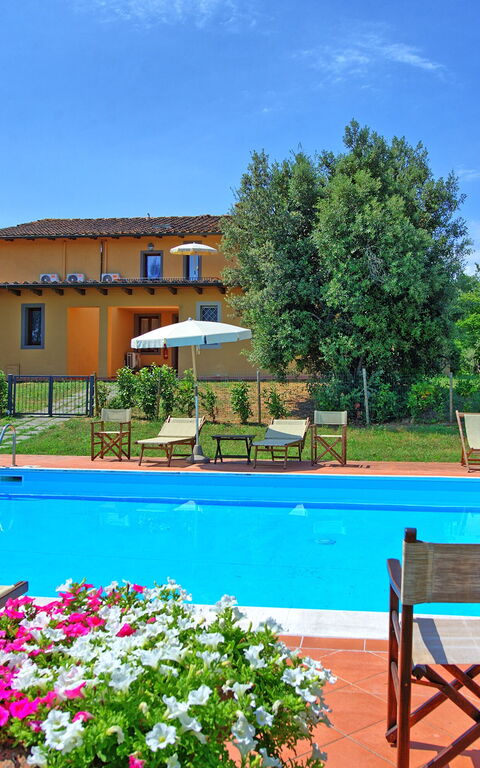 Nicola: bassin, Été, Extérieur