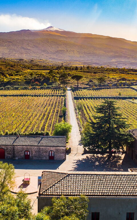 Etna Retreat: Extérieur, Vues