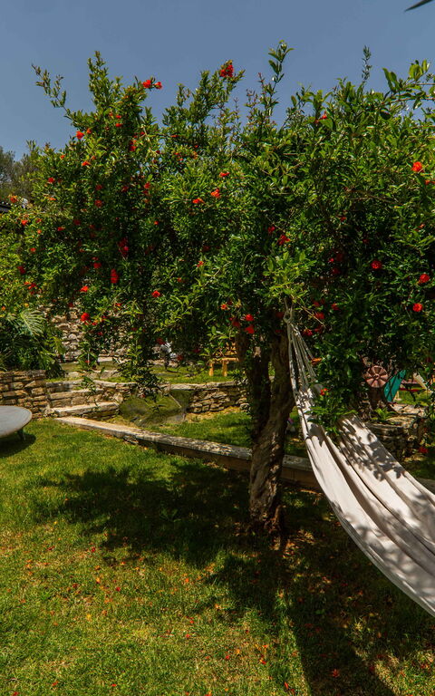 Villa Eftychia: Extérieur, Jardin