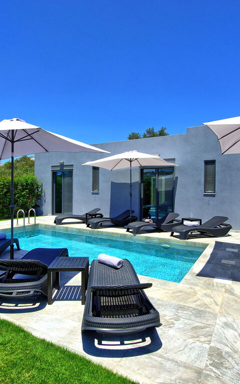 Villa Zaneti: bassin, Été, Extérieur, Extérieurs, Jardin