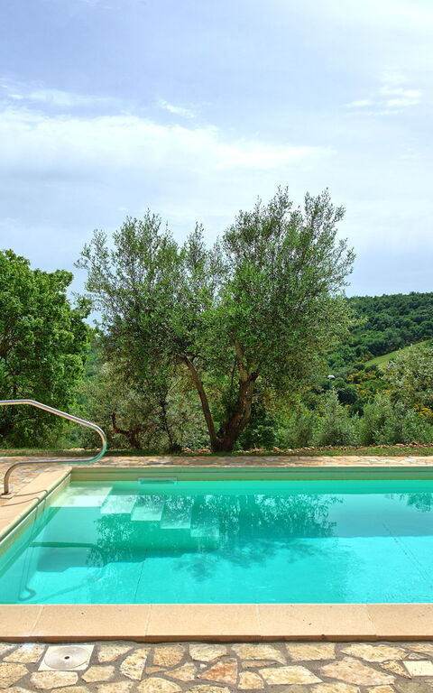 Villa Collina: bassin