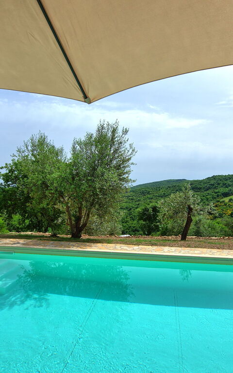Villa Collina: bassin