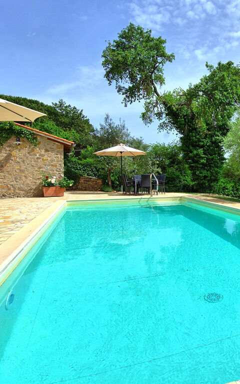 Villa Collina: bassin