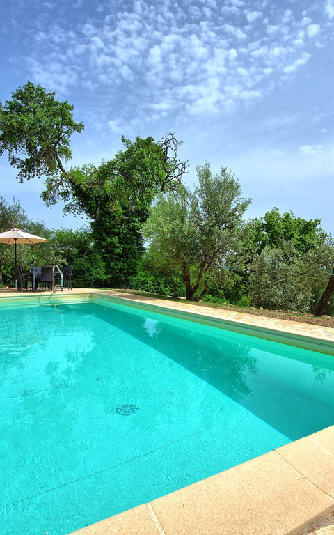 Villa Collina: bassin